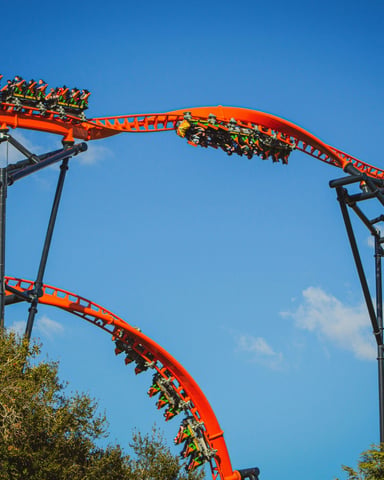 Tigris roller coaster at Busch Gardens Tampa