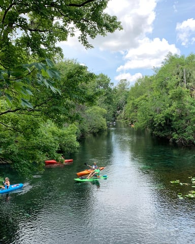 Kayakers paddling through a Florida river lined with trees