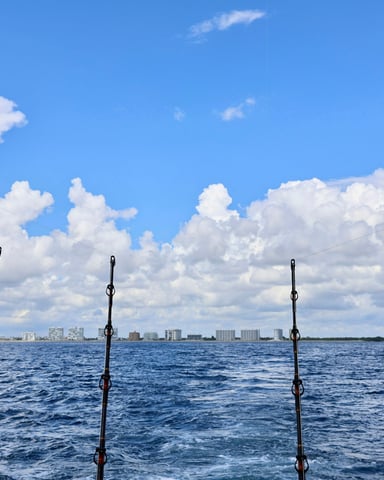 Fishing rods on a boat with Florida skyline