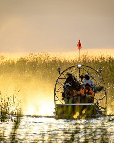 Airboat speeding through Florida Everglades at golden hour