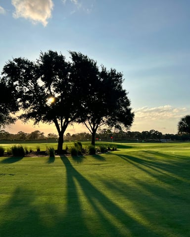 Florida golf course at sunset with palm trees