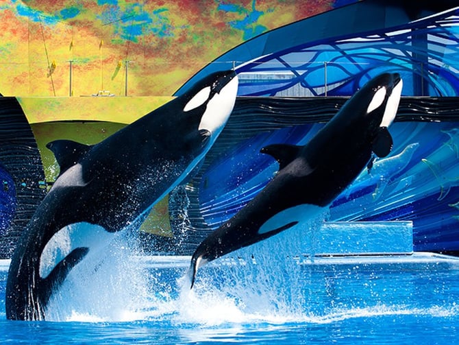 SeaWorld Orlando Resort