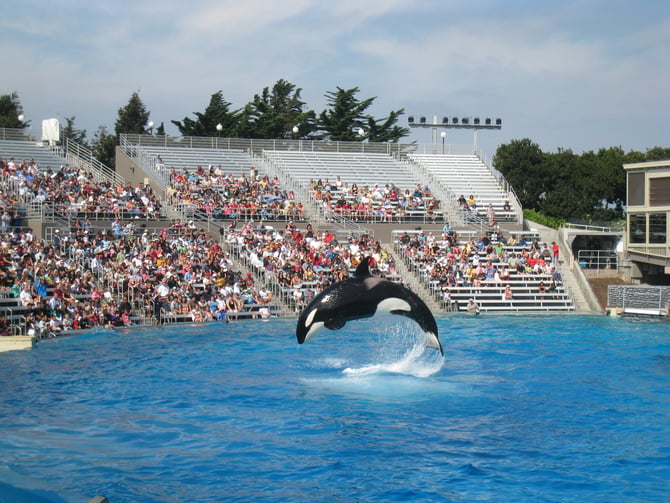 SeaWorld Orlando