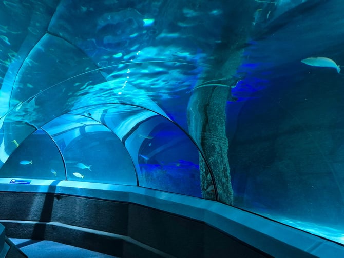 SEA LIFE Orlando Aquarium